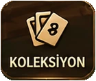 Koleksiyon